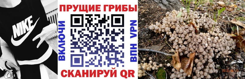 hydra ССЫЛКА Карталы Галлюциногенные грибы мицелий где продают наркотики